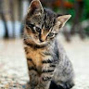 Meet your Posher, Elisabeth